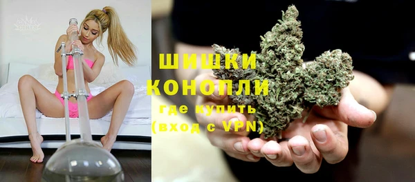 PSILOCYBIN Елизово