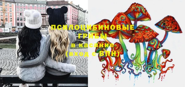 PSILOCYBIN Елизово