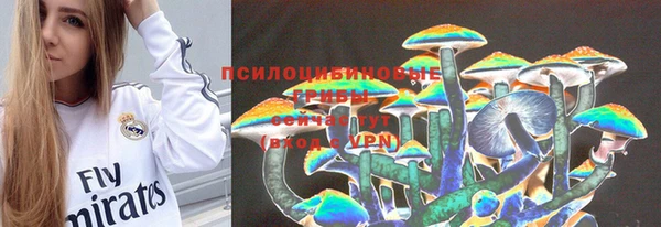 Альфа ПВП Ельня