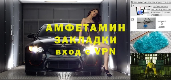 прущие грибы Дмитров