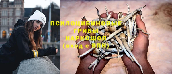 PSILOCYBIN Елизово