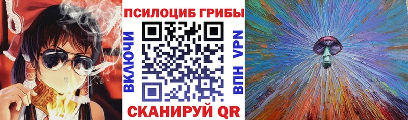OMG зеркало  Заволжье  Галлюциногенные грибы мухоморы 